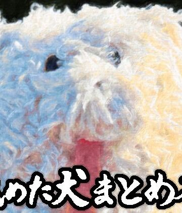 舐めた犬❤舐めた犬まとめ本｜評価4.86