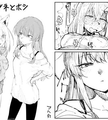 アヘ丸❤キツネとホシ｜評価